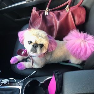 Meet your Posher, Ingrid